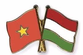 Vietnam felicita a Hungría por el Día de fundación de su Estado