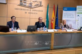Promueven oportunidades de inversión en Vietnam para empresas españolas