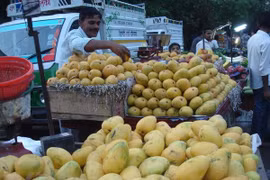 Corea del Sur aumenta importaciones de mango vietnamita
