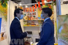 Vietnam amplía la cooperación con Hong Kong (China) en inversión y turismo