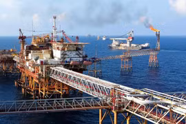 Empresa petrolera vietnamita mantiene alta clasificación de Fitch Ratings