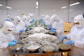 Vietnam ante oportunidades de aumentar exportaciones de productos acuáticos