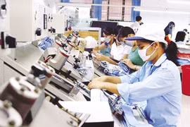 Empresas privadas en Vietnam muestran aumento en cantidad y calidad
