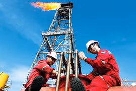 Producción de petróleo y gas de empresa vietnamita alcanza 5,4 millones de barriles