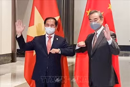 Vietnam y China fortalecen asociación de cooperación estratégica integral 