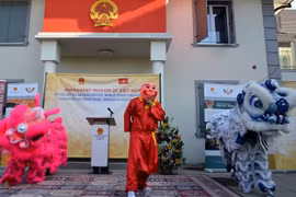 Día cultural de Vietnam-Suiza promueve intercambio popular bilateral