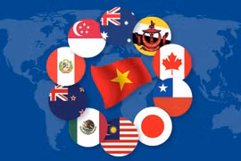 Revisan en Hanoi documentos normativos para implementación del CPTPP