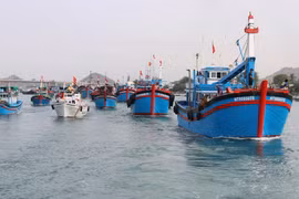 Vietnam perfeccionará mecanismo de gestión de la pesca con sugerencias de la Comisión Europea
