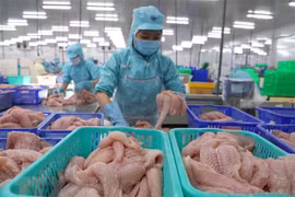 EE.UU. exime a dos exportadores vietnamitas del pescado Tra del impuesto antidumping
