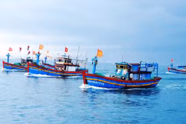 Provincia vietnamita de Kien Giang por erradicar pesca irreglamentaria 