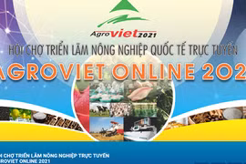 Vietnam promueve los productos de aldeas de oficios tradicionales