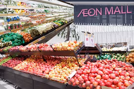 Promueven productos agrícolas vietnamitas en sistemas de distribución extranjeros