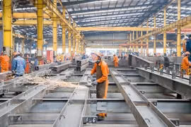 Ciudad Ho Chi Minh avanza en vacunación a trabajadores en los parques industriales
