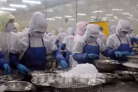 Experimenta Vietnam crecimiento en exportaciones de productos acuícolas