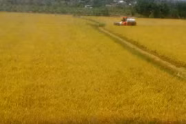Provincia vietnamita de Long An ampliará modelos de protección ambiental