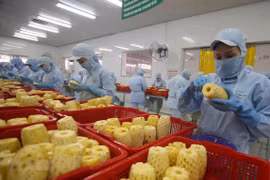 Vietnam por impulsar desarrollo de procesamiento de frutas y verduras 
