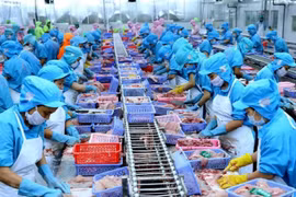 Eleva Fitch Ratings perspectiva de Vietnam a categoría Positiva