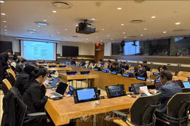 Vietnam asume presidencia del Grupo de Asia - Pacífico en ONU