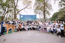 Organizan en Vietnam campaña para impulsar conservación de félidos