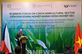  Vietnam y República Checa buscan ampliar cooperación agrícola