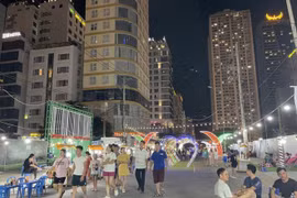 Ciudad vietnamita de Da Nang impulsa el desarrollo de economía nocturna