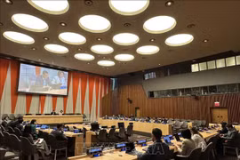 Vietnam cumple con éxito papel de presidente del Grupo Asia-Pacífico en ONU