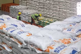 Indonesia planea importar dos millones de toneladas de arroz en 2024