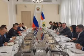 Promueven mayor cooperación agrícola entre Vietnam y Rusia