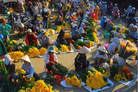 Mercado rural, cultura tradicional durante el Tet y la primavera