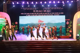Diversas actividades se celebran por 70 aniversario de Victoria de Dien Bien Phu