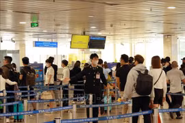 Aeropuerto de Tan Son Nhat atiende a un número récord de pasajeros en Tet