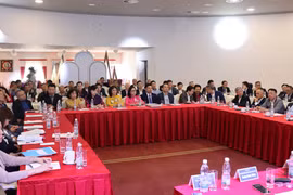 Asociación de Vietnamitas en República Checa fortalece cooperación comunitaria 