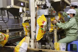 Auguran buenas perspectivas para exportaciones de arroz de Vietnam en 2024