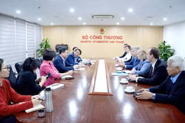 Vietnam busca colaboración en GNL con el grupo ruso Novatek