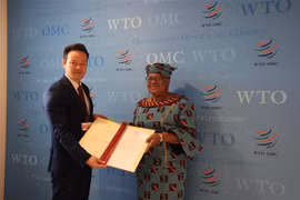 OMC reconoce contribuciones de Vietnam al sistema multilateral de comercio