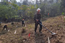 Agilizan lazos Corea del Sur- Vietnam en formación de técnicos para lucha contra minas