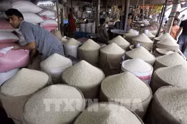 Indonesia planea establecer un fondo de emergencia para garantizar la seguridad alimentaria