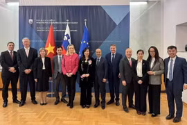 Robustecen vínculos entre Vietnam y Eslovenia 