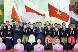 Presidentes de Vietnam e Indonesia disfrutan de espectáculos de artes marciales