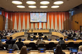 Vietnam elegido miembro del Consejo Ejecutivo de la ONU Mujeres para 2025-2027