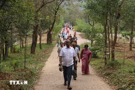 Aumenta tendencia de viajar en solitario de India a Vietnam