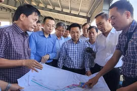 Ministerio de Agricultura y Desarrollo Rural inspecciona acciones contra pesca ilegal en Binh Dinh