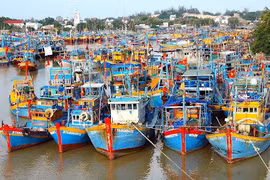 Vietnam se esfuerza por levantar advertencia de CE sobre pesca ilegal