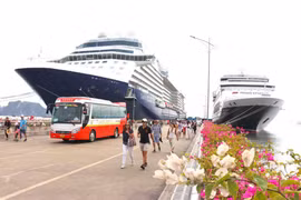 Provincia de Quang Ninh recibirá 60 cruceros turísticos internacionales en 2024