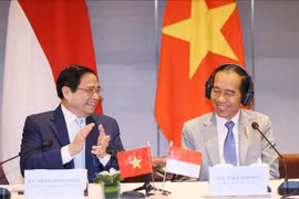 Vietnam e Indonesia buscan robustecer lazos económicos y comerciales