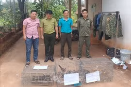 Entregan animales salvajes al Parque Nacional Bu Gia Map de Vietnam