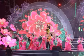 Celebran Festival de flor de durazno en provincia norvietnamita de Lang Son