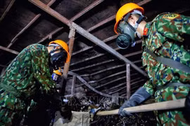 Vietnam regula implementación de Convención que prohíbe desarrollo y producción de armas químicas