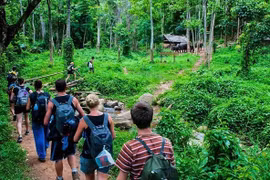 Busca Vietnam explotar potencial de ecoturismo forestal