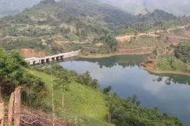 Vietnam hacia una economía verde para un futuro sostenible